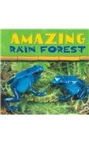Amazing Rain Forest