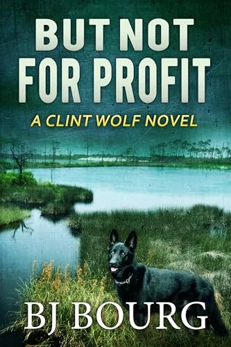 But Not For Profit