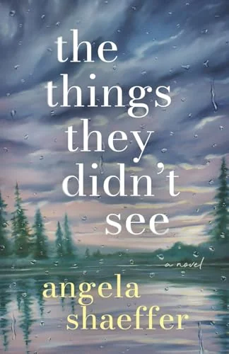 The Things They Didn't See: A Novel