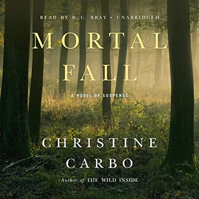 Mortal Fall: A Novel of Suspense