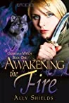 Awakening the Fire