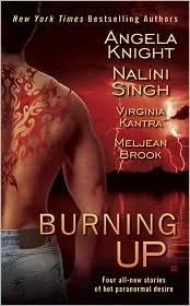 Burning Up