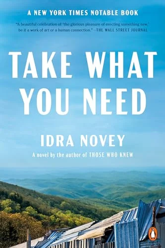 Take What You Need: A Novel