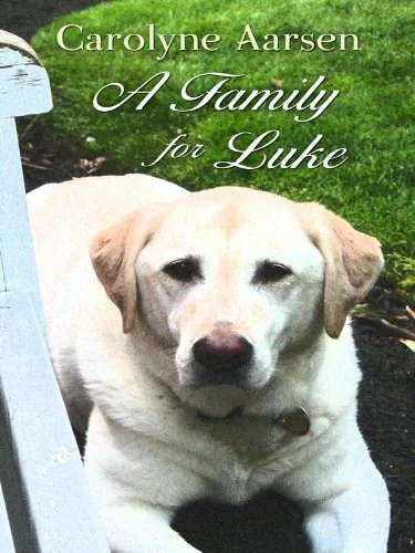 A Family for Luke