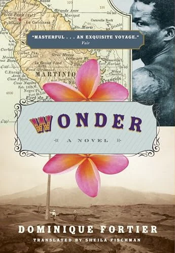 Wonder
