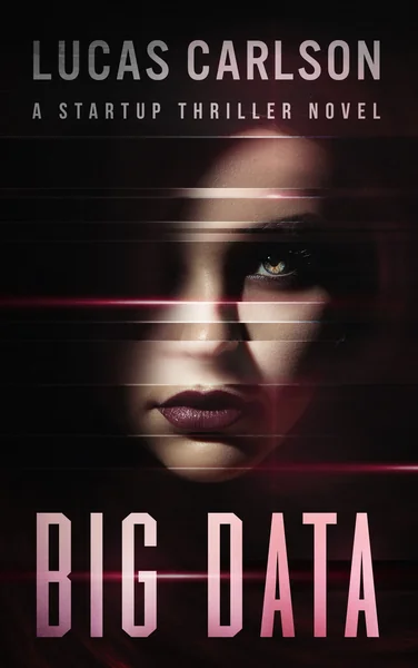 Big Data: A Startup Thriller Novel