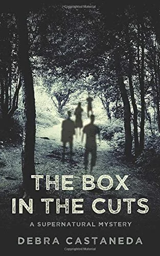 The Box in The Cuts