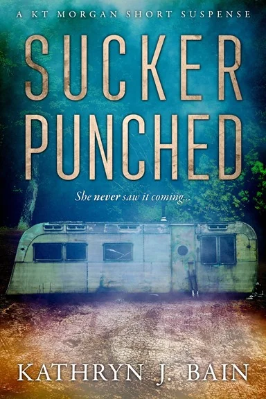 Sucker Punched