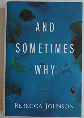 And Sometimes Why