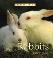 Rabbits