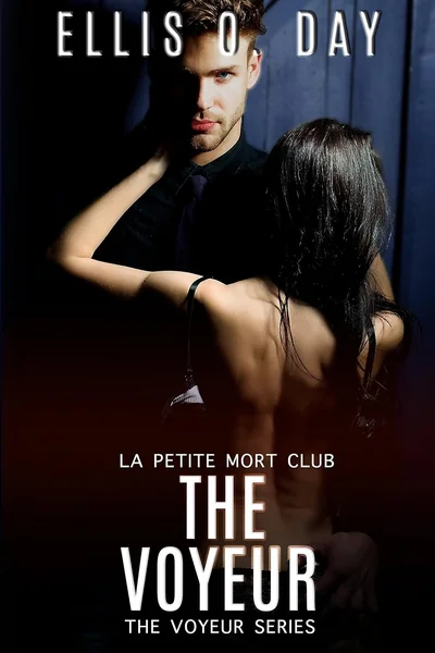 The Voyeur: A FREE military, brother's best friend erotic romantic comedy