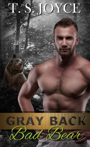 Gray Back Bad Bear