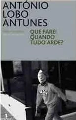 Que farei quando tudo arde?