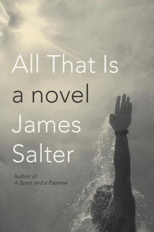 All that is a novel