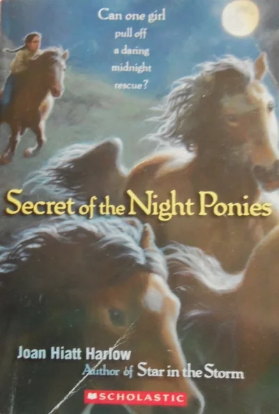 Secret of the Night Ponies
