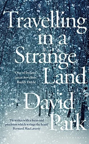 Travelling in a Strange Land: Winner of the Kerry Group Irish Novel of the Year