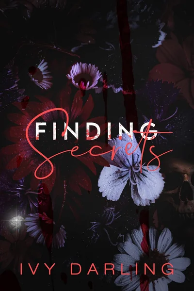 Finding Secrets (Book I)