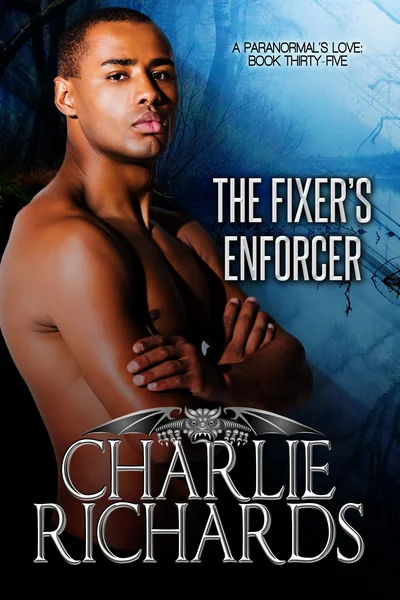 The Fixer's Enforcer