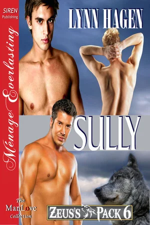 Sully