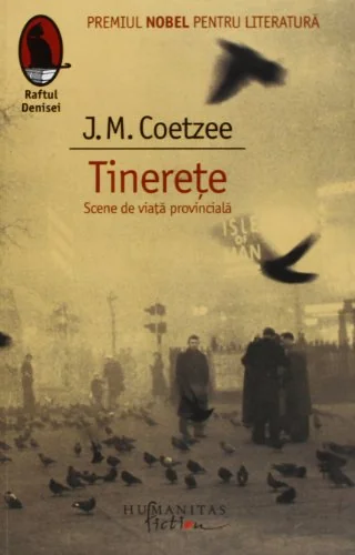 Tinerete. Scene de viata provinciala