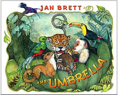 The Umbrella: board book