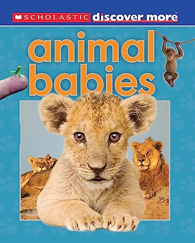 Animal Babies