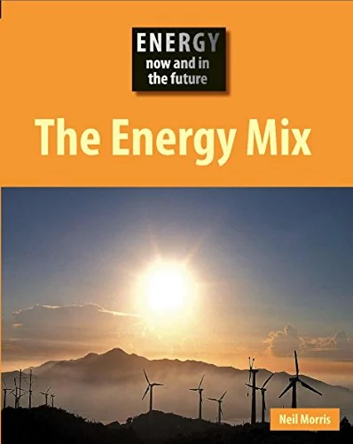 The Energy Mix: Now and in the Future