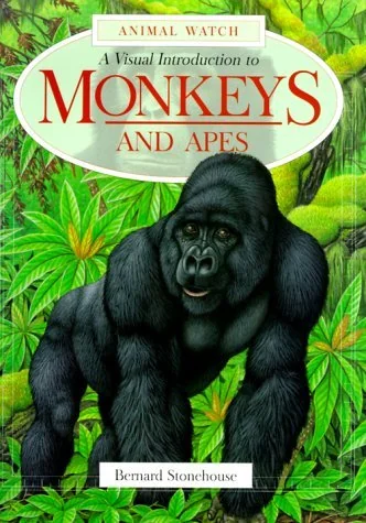 Monkeys and apes
