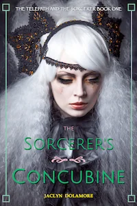 The Sorcerer's Concubine
