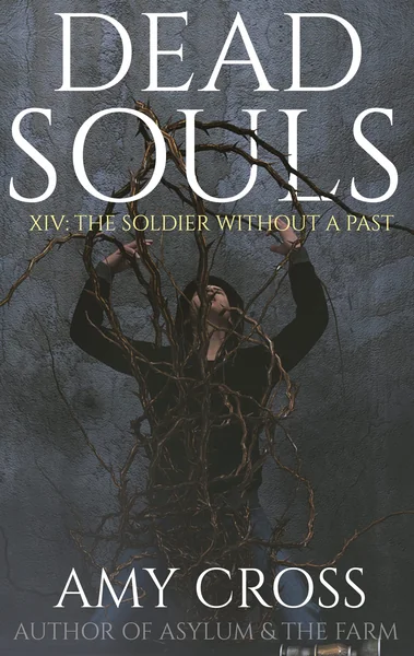 The Soldier Without a Past