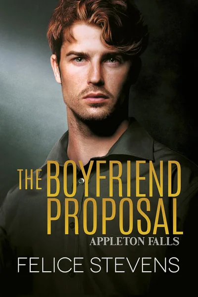 The Boyfriend Proposal