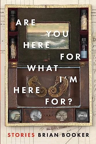Are You Here For What I'm Here For?