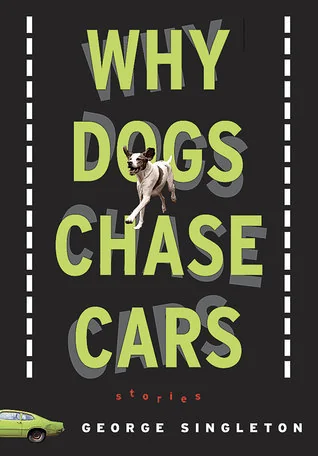 Why Dogs Chase Cars: Tales of a Beleaguered Boyhood