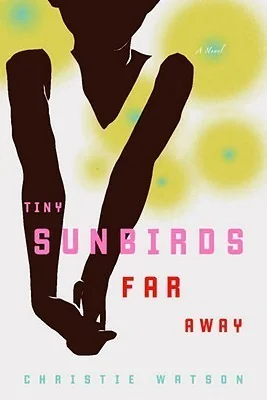Tiny Sunbirds, Far Away