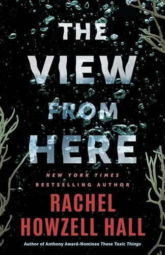 The View from Here: A Thriller