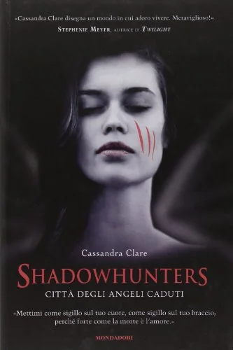 City of Fallen Angels