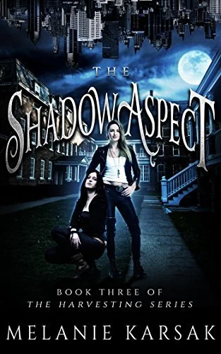 The Shadow Aspect