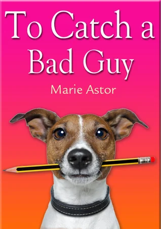 To Catch a Bad Guy