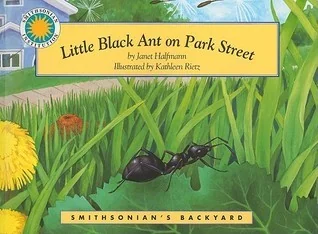 Little Black Ant on Park Street