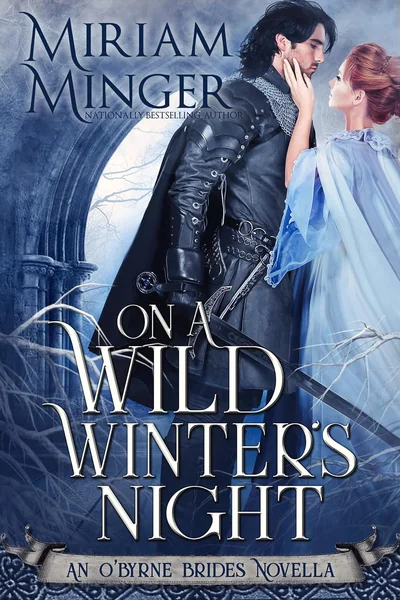 On A Wild Winter’s Night