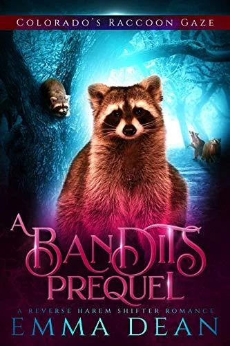 A Bandit's Prequel