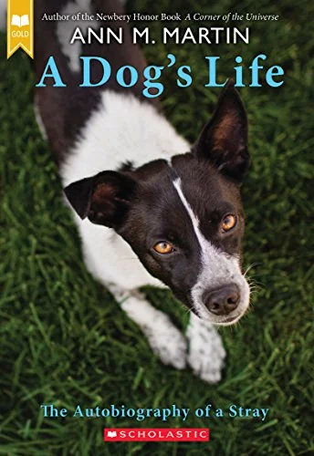 A dog's life